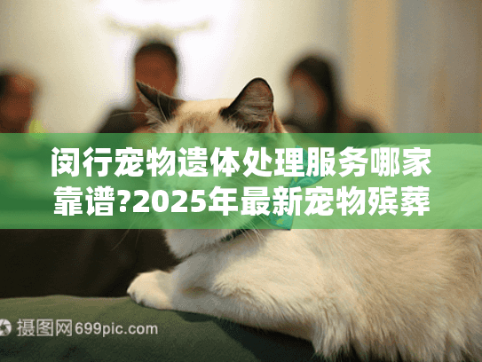 闵行宠物遗体处理服务哪家靠谱?2025年最新宠物殡葬指南
