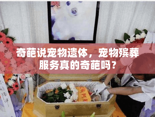 奇葩说宠物遗体，宠物殡葬服务真的奇葩吗？