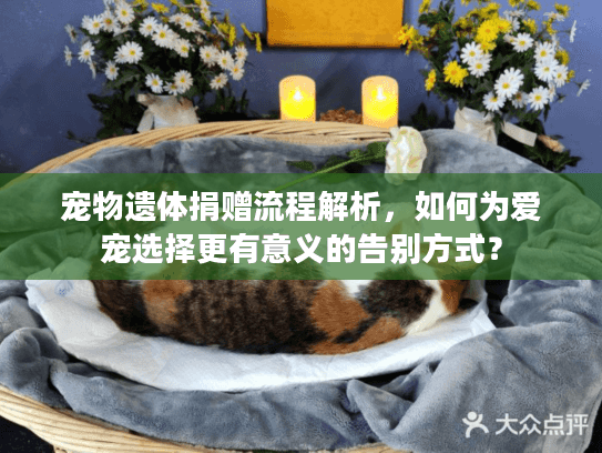 宠物遗体捐赠流程解析，如何为爱宠选择更有意义的告别方式？