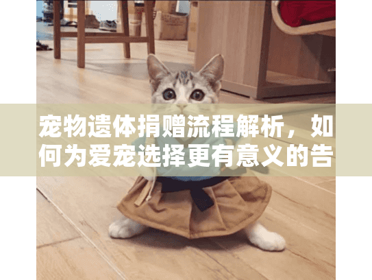 宠物遗体捐赠流程解析，如何为爱宠选择更有意义的告别方式？