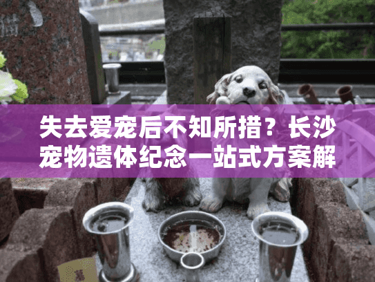 失去爱宠后不知所措？长沙宠物遗体纪念一站式方案解忧