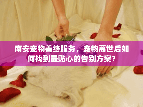 南安宠物善终服务，宠物离世后如何找到最贴心的告别方案？