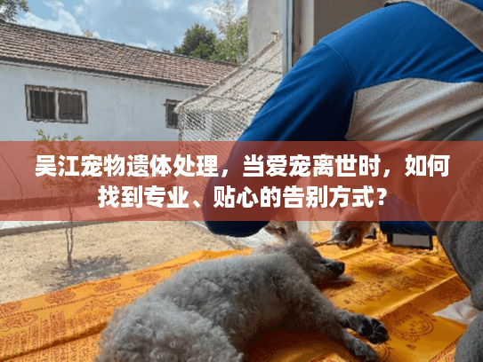 吴江宠物遗体处理，当爱宠离世时，如何找到专业、贴心的告别方式？