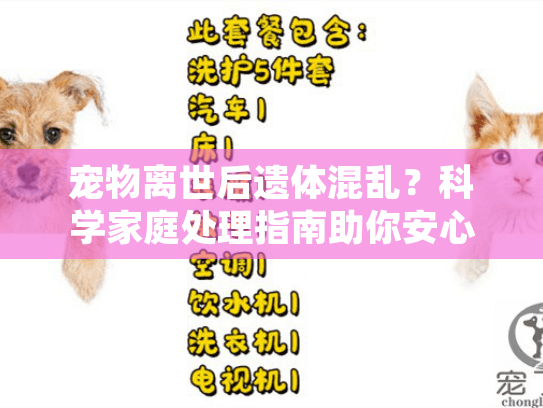 宠物离世后遗体混乱？科学家庭处理指南助你安心