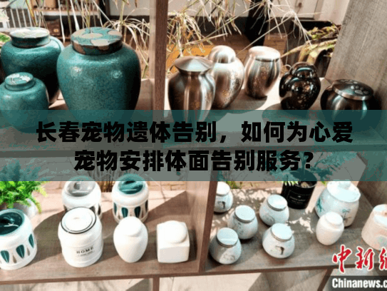 长春宠物遗体告别，如何为心爱宠物安排体面告别服务？