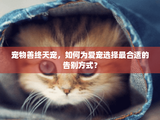 宠物善终天宠，如何为爱宠选择最合适的告别方式？