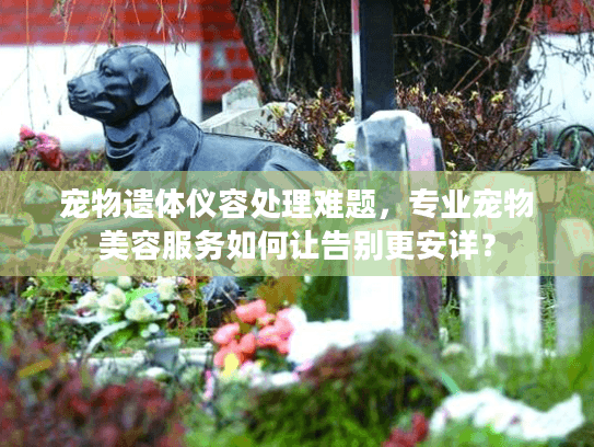 宠物遗体仪容处理难题，专业宠物美容服务如何让告别更安详？