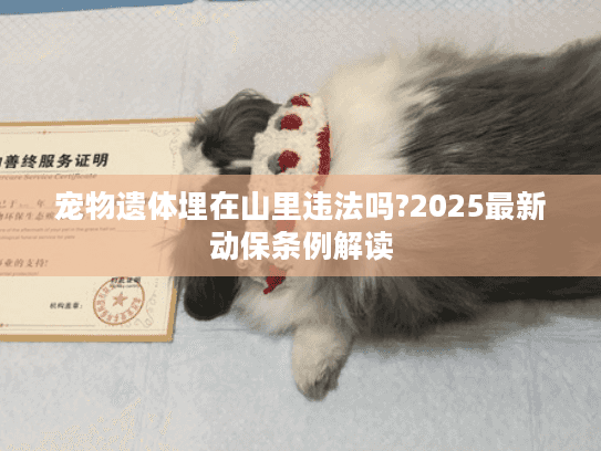 宠物遗体埋在山里违法吗?2025最新动保条例解读