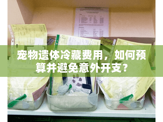 宠物遗体冷藏费用，如何预算并避免意外开支？