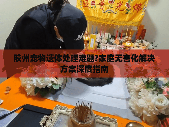 胶州宠物遗体处理难题?家庭无害化解决方案深度指南
