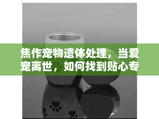 焦作宠物遗体处理，当爱宠离世，如何找到贴心专业的殡葬服务？