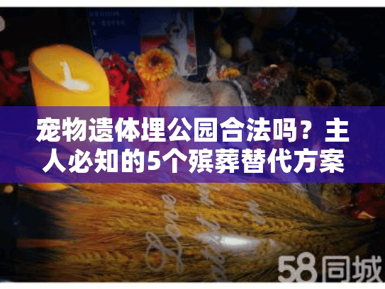宠物遗体埋公园合法吗？主人必知的5个殡葬替代方案