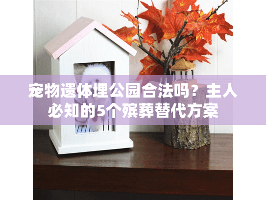 宠物遗体埋公园合法吗？主人必知的5个殡葬替代方案