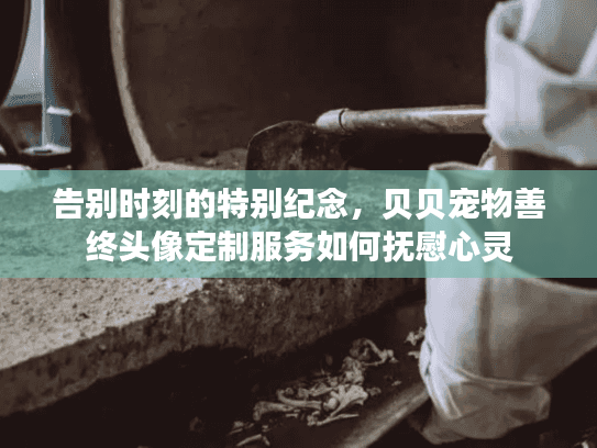 告别时刻的特别纪念，贝贝宠物善终头像定制服务如何抚慰心灵