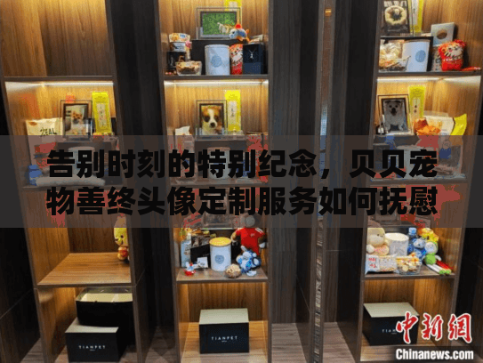 告别时刻的特别纪念，贝贝宠物善终头像定制服务如何抚慰心灵