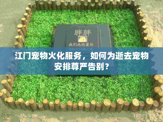 江门宠物火化服务，如何为逝去宠物安排尊严告别？