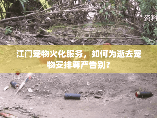 江门宠物火化服务，如何为逝去宠物安排尊严告别？