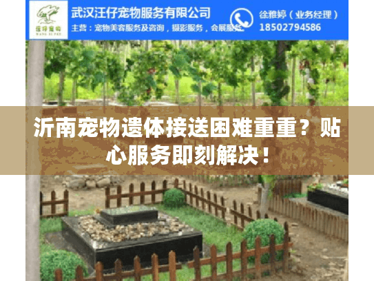 沂南宠物遗体接送困难重重？贴心服务即刻解决！