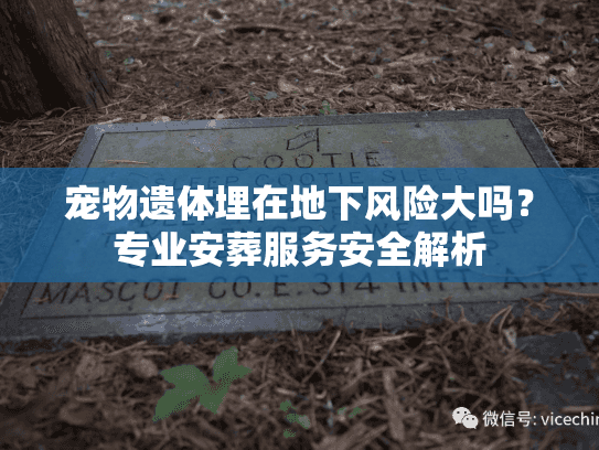 宠物遗体埋在地下风险大吗？专业安葬服务安全解析