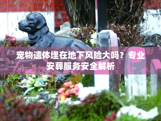 宠物遗体埋在地下风险大吗？专业安葬服务安全解析