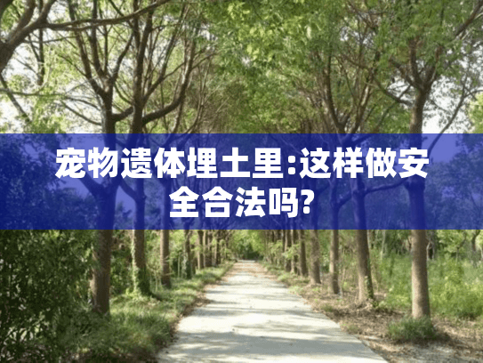 宠物遗体埋土里:这样做安全合法吗?