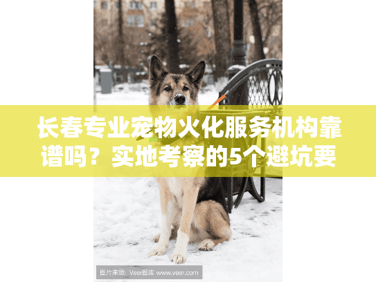 长春专业宠物火化服务机构靠谱吗？实地考察的5个避坑要点
