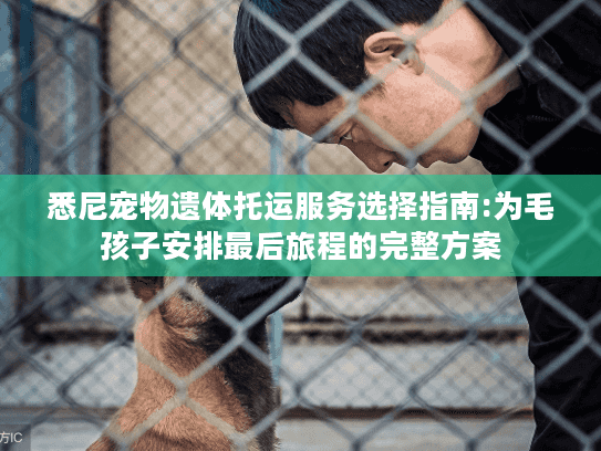 悉尼宠物遗体托运服务选择指南:为毛孩子安排最后旅程的完整方案