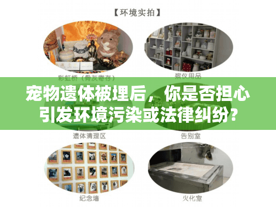 宠物遗体被埋后，你是否担心引发环境污染或法律纠纷？