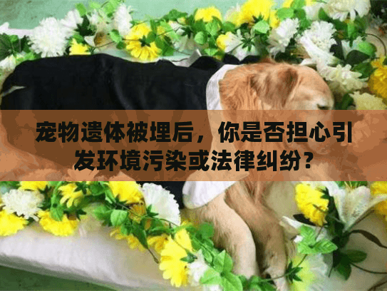宠物遗体被埋后，你是否担心引发环境污染或法律纠纷？