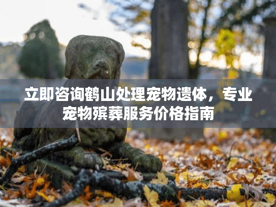 立即咨询鹤山处理宠物遗体，专业宠物殡葬服务价格指南