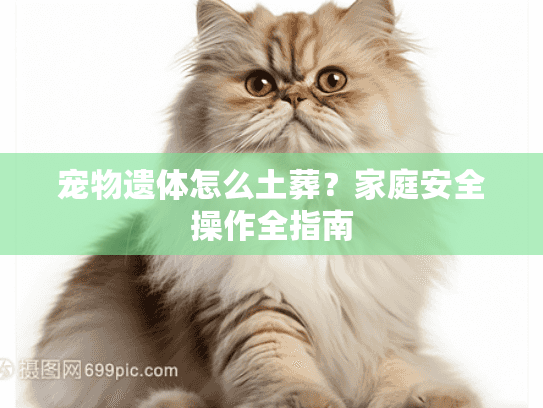 宠物遗体怎么土葬？家庭安全操作全指南