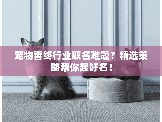 宠物善终行业取名难题？精选策略帮你起好名！