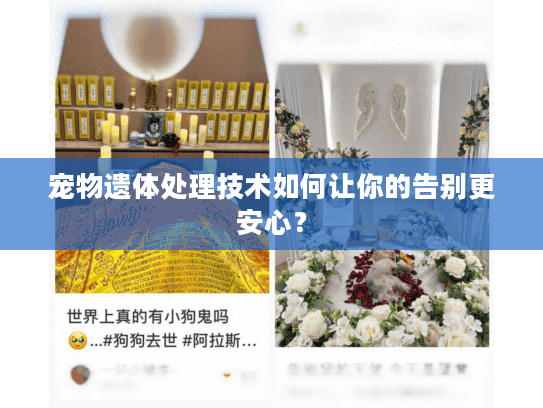 宠物遗体处理技术如何让你的告别更安心？