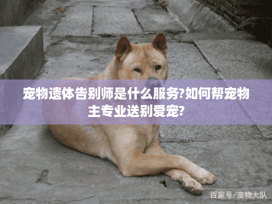 宠物遗体告别师是什么服务?如何帮宠物主专业送别爱宠?
