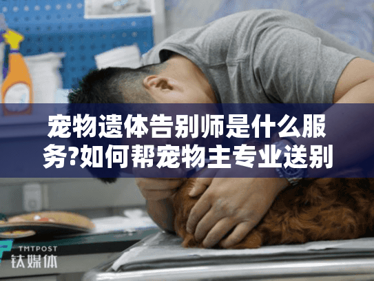宠物遗体告别师是什么服务?如何帮宠物主专业送别爱宠?