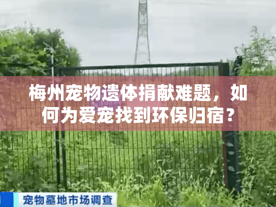梅州宠物遗体捐献难题，如何为爱宠找到环保归宿？