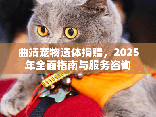 曲靖宠物遗体捐赠，2025年全面指南与服务咨询