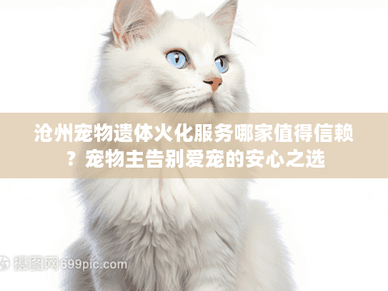 沧州宠物遗体火化服务哪家值得信赖？宠物主告别爱宠的安心之选