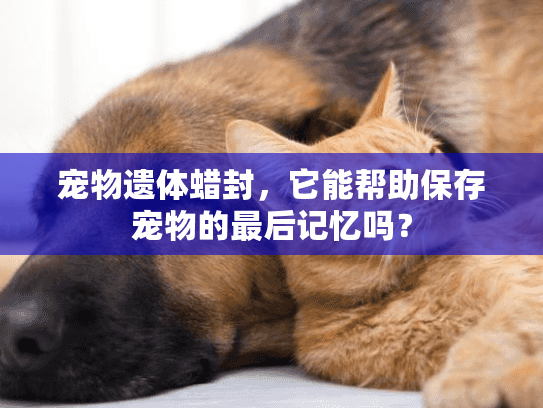 宠物遗体蜡封，它能帮助保存宠物的最后记忆吗？