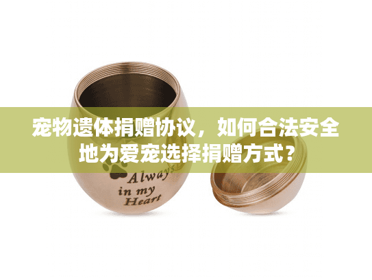 宠物遗体捐赠协议，如何合法安全地为爱宠选择捐赠方式？