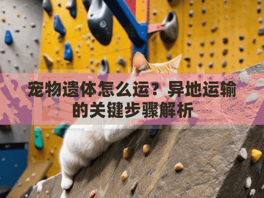 宠物遗体怎么运？异地运输的关键步骤解析