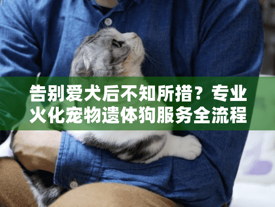 告别爱犬后不知所措？专业火化宠物遗体狗服务全流程详解