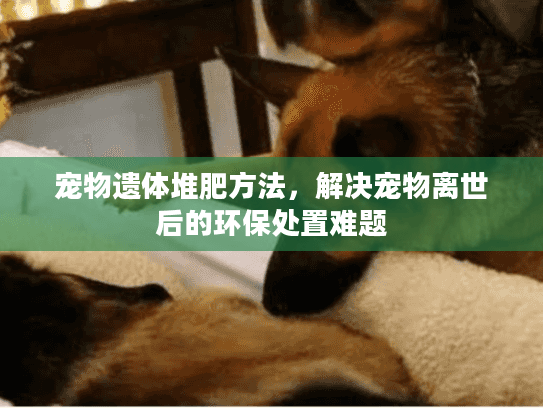 宠物遗体堆肥方法，解决宠物离世后的环保处置难题