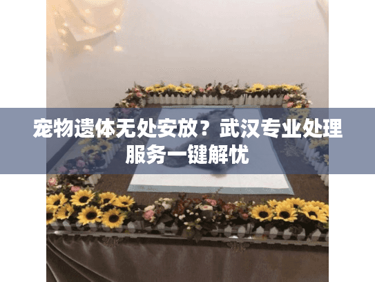 宠物遗体无处安放？武汉专业处理服务一键解忧