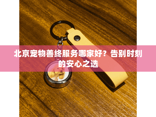 北京宠物善终服务哪家好？告别时刻的安心之选