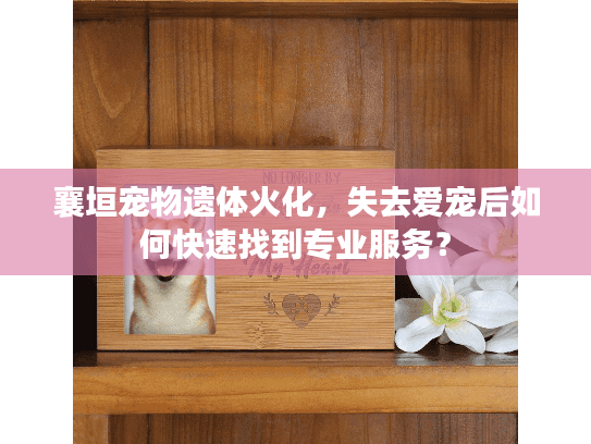 襄垣宠物遗体火化，失去爱宠后如何快速找到专业服务？
