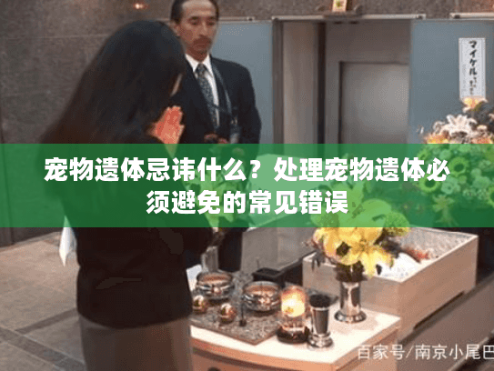 宠物遗体忌讳什么？处理宠物遗体必须避免的常见错误