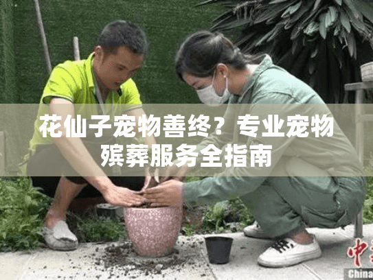 花仙子宠物善终？专业宠物殡葬服务全指南