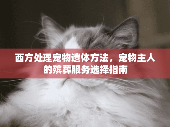 西方处理宠物遗体方法，宠物主人的殡葬服务选择指南