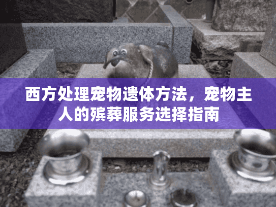 西方处理宠物遗体方法，宠物主人的殡葬服务选择指南